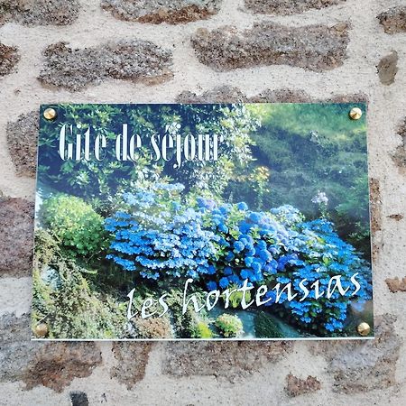 Les Hortensias La Poultiere Exteriér fotografie
