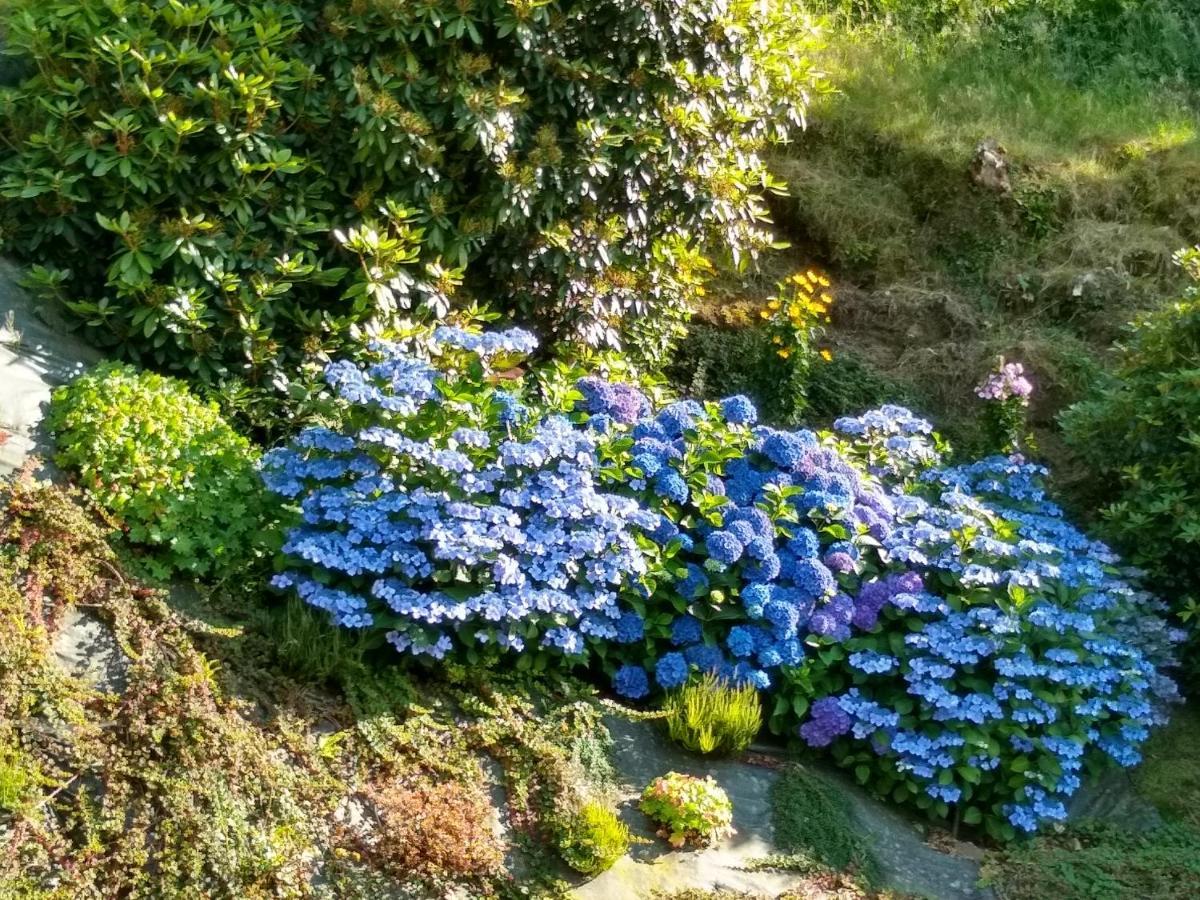 Les Hortensias La Poultiere Exteriér fotografie