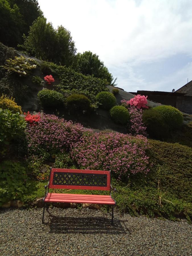 Les Hortensias La Poultiere Exteriér fotografie